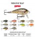 Leurre Mini Fat Rap RAPALA : Couleur:TR