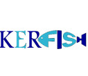 Kerfish